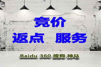 网络推广中竞价广告的投放策略及成功案例
